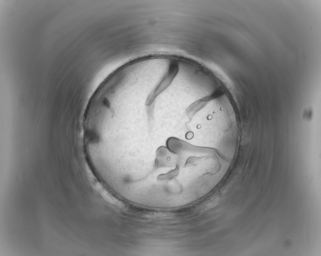 X0000091081287200709041233