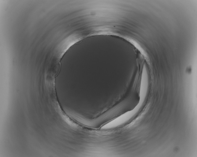 X0000091081289200709041232