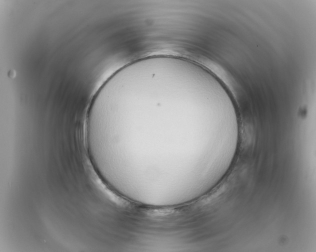 X0000091081290200709041232