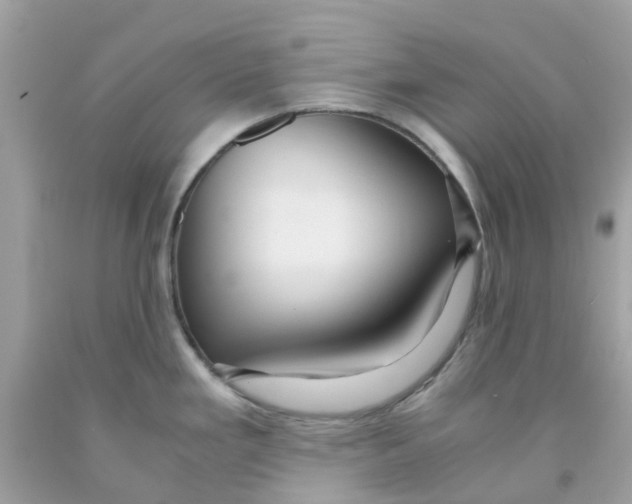 X0000091081293200709041232