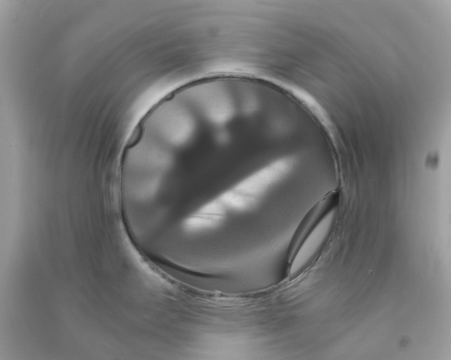 X0000091081295200709041232