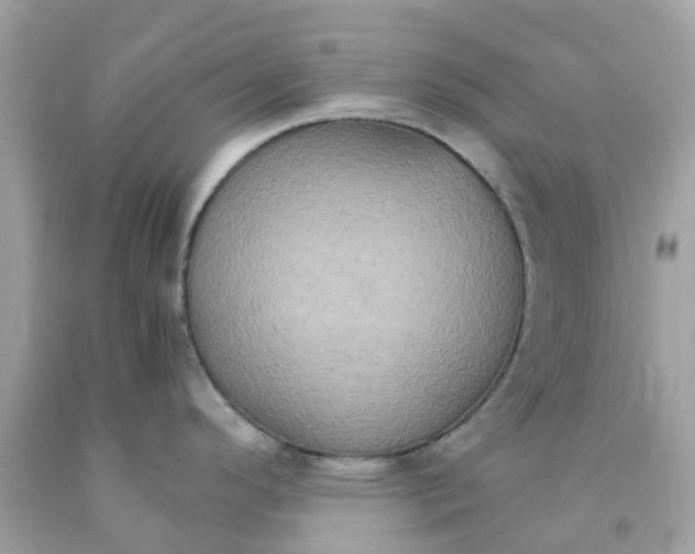 X0000091081296200709041232