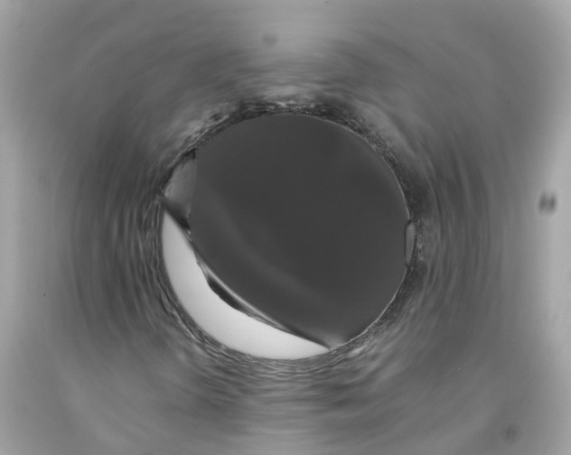 X0000091081298200709041232