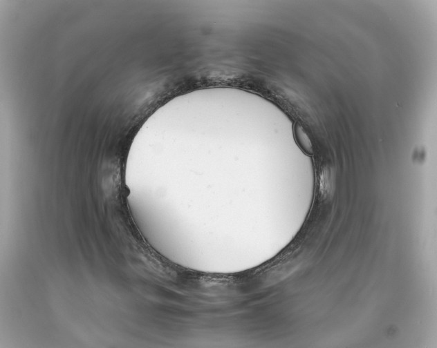 X0000091081299200709041232