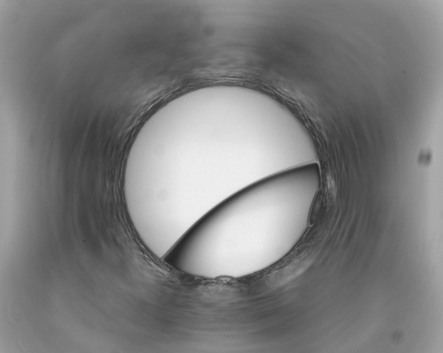 X0000091081300200709041232