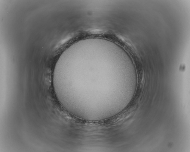 X0000091081301200709041232