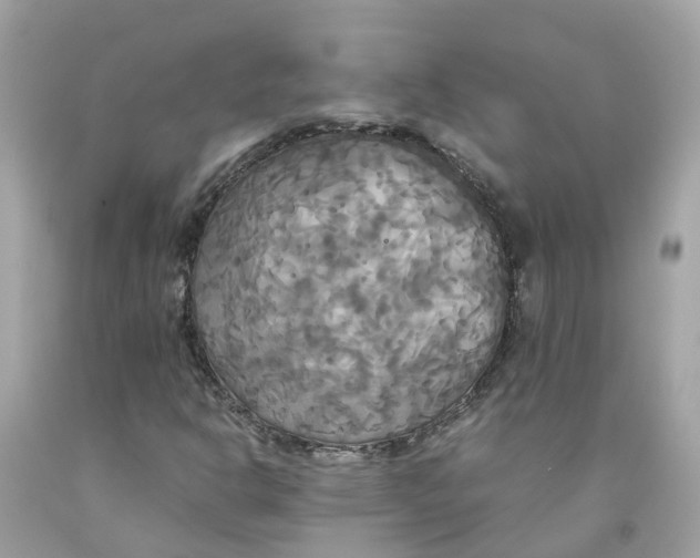 X0000091081302200709041232