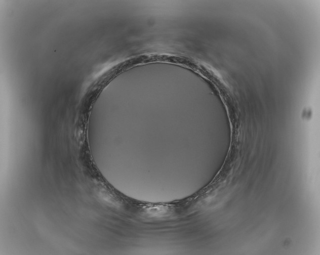 X0000091081303200709041232