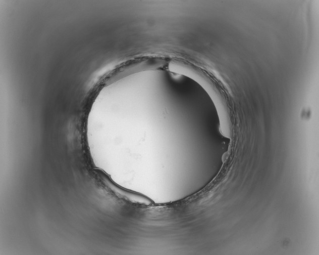 X0000091081304200709041232