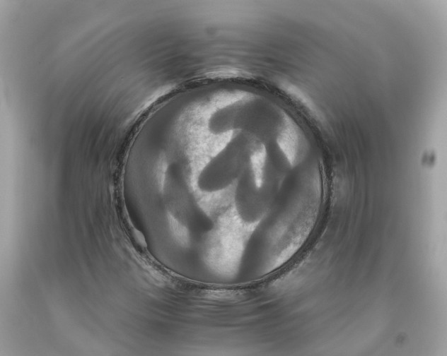 X0000091081305200709041232