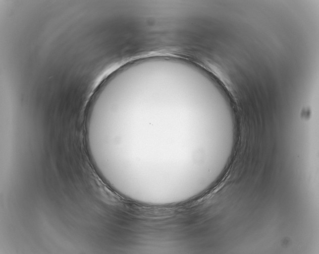 X0000091081308200709041232