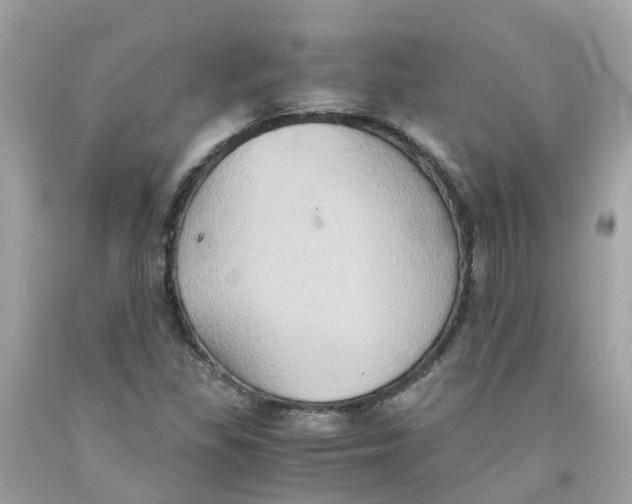 X0000091081309200709041232