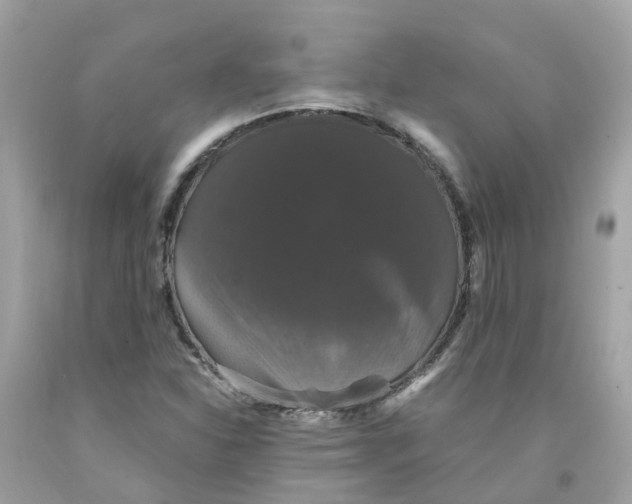 X0000091081310200709041232