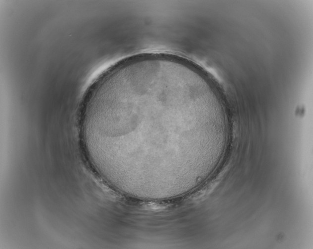 X0000091081311200709041232