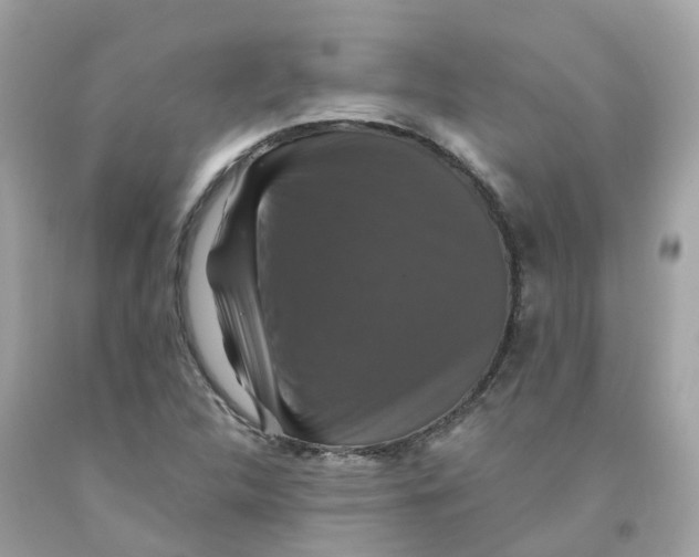 X0000091081312200709041232