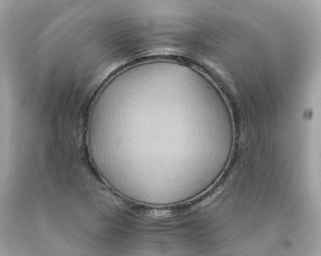 X0000091081313200709041232