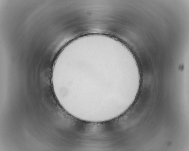 X0000091081314200709041232