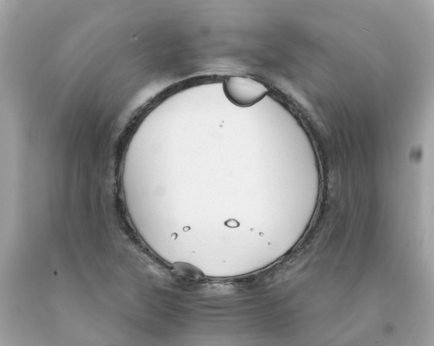 X0000091081315200709041232