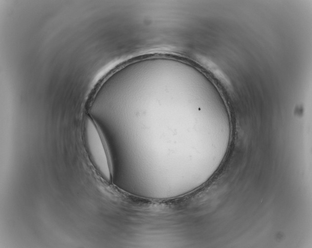 X0000091081316200709041232