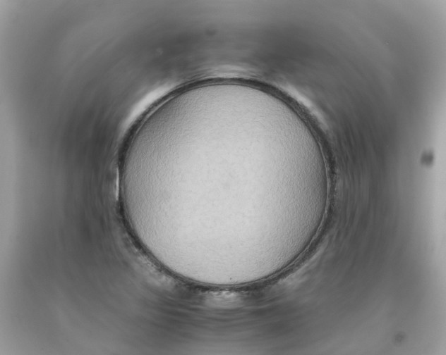 X0000091081317200709041232