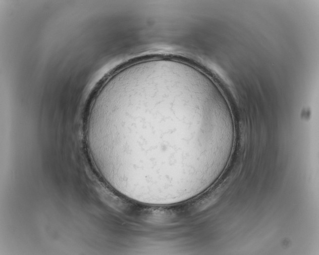 X0000091081318200709041232