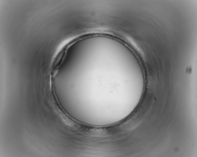 X0000091081320200709041232