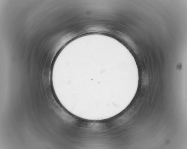 X0000091081322200709041232