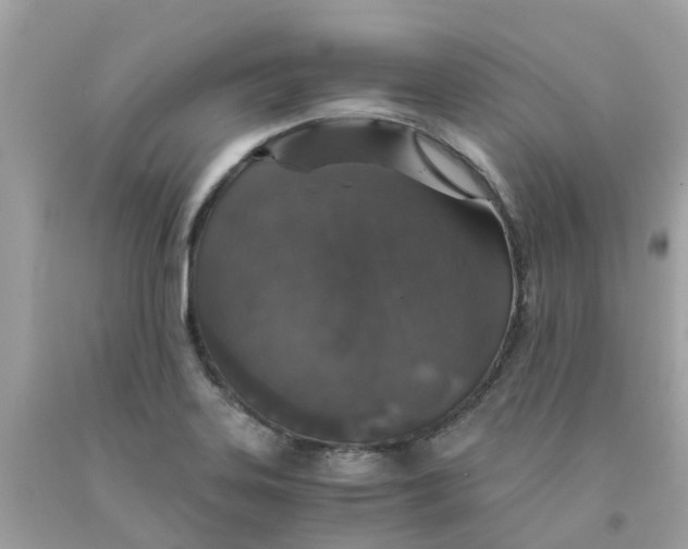 X0000091081323200709041232