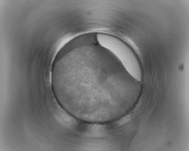 X0000091081324200709041232