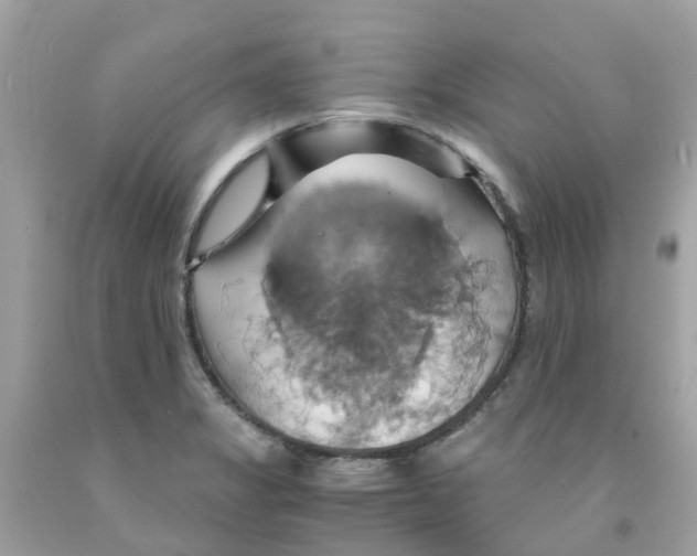 X0000091081325200709041232