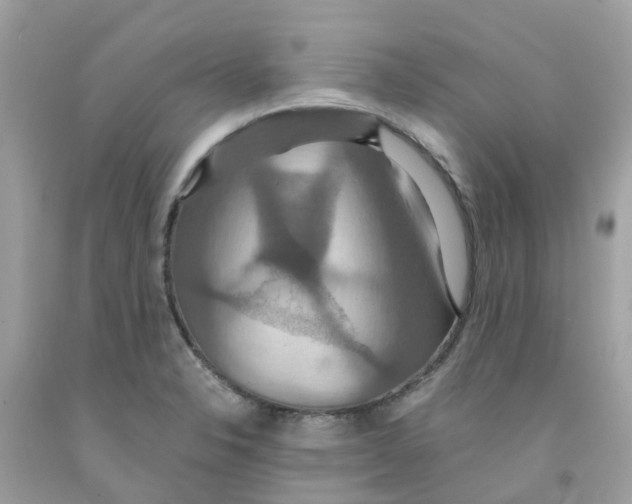 X0000091081326200709041232