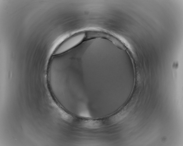 X0000091081327200709041232