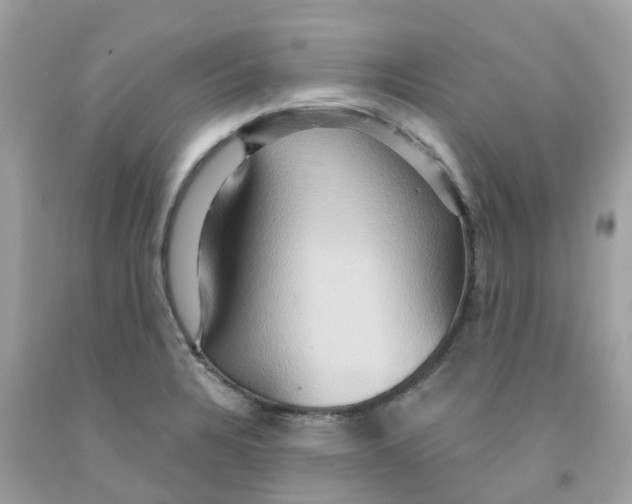 X0000091081328200709041232