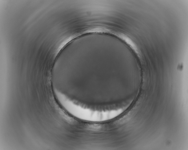 X0000091081329200709041232