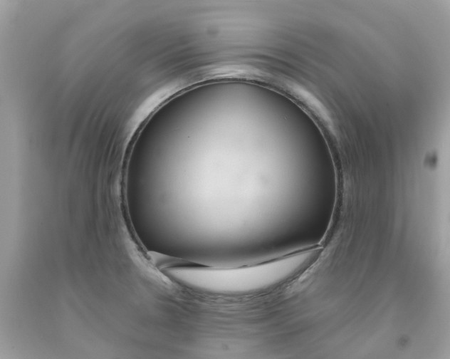 X0000091081330200709041232