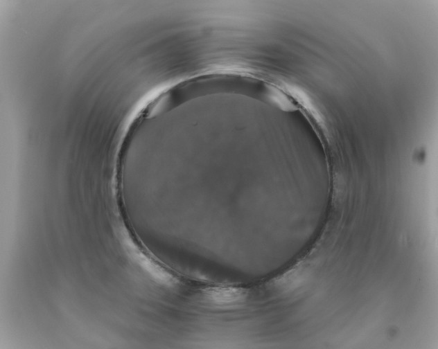 X0000091081331200709041232