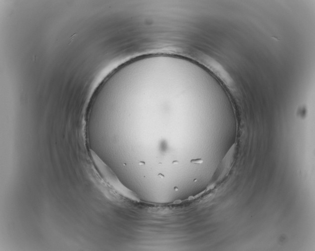 X0000091081332200709041232