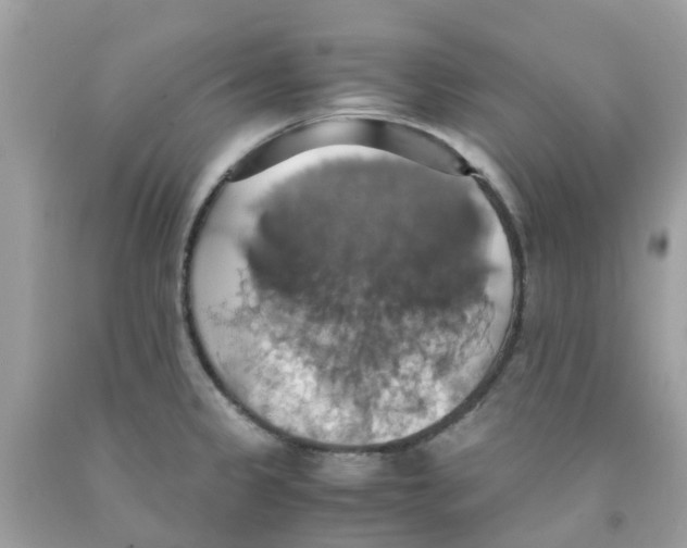 X0000091081333200709041232