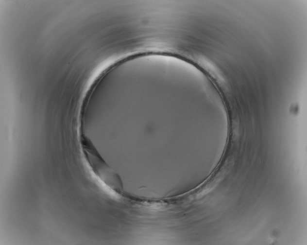 X0000091081334200709041232