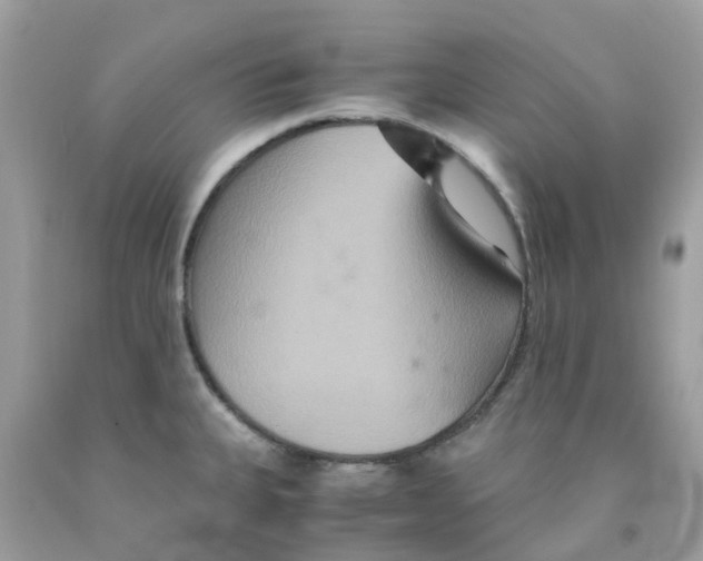 X0000091081335200709041232