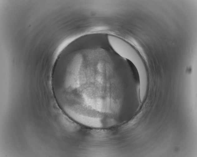 X0000091081336200709041232