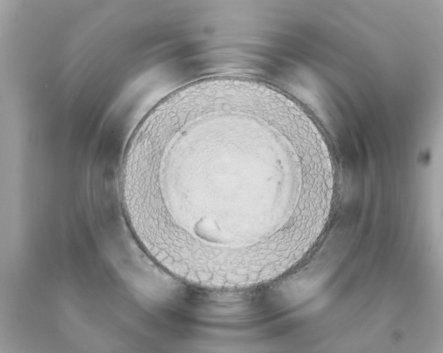 X0000091081338200709041232