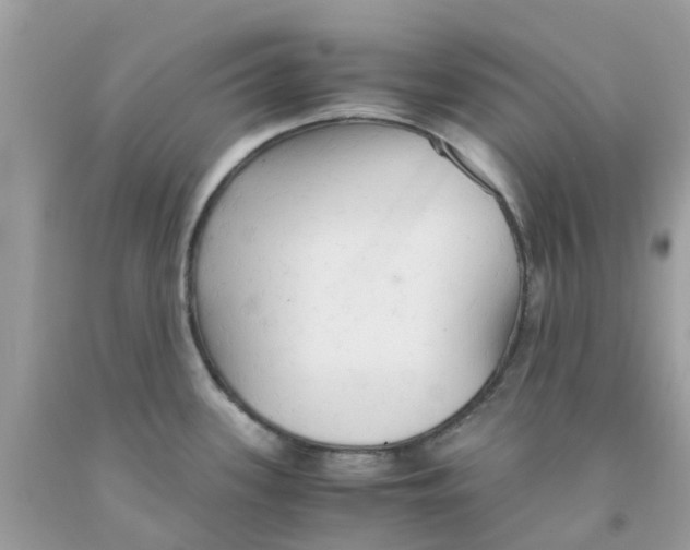 X0000091081339200709041232