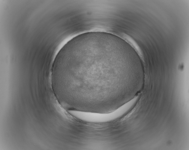 X0000091081340200709041232