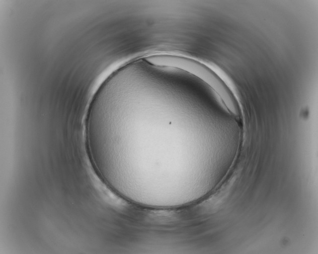 X0000091081341200709041232