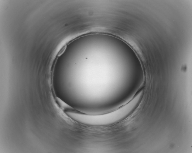 X0000091081342200709041232