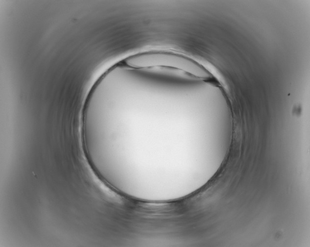 X0000091081343200709041232