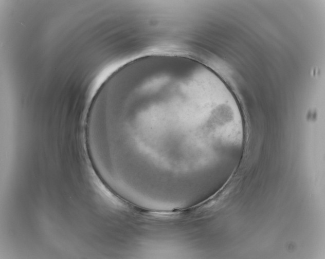 X0000091081344200709041232