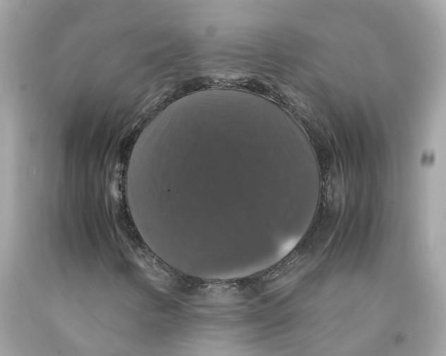 X0000091081346200709041232