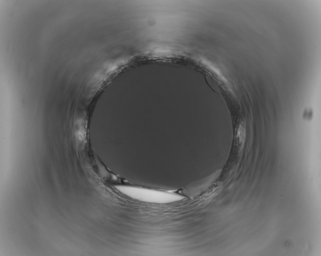 X0000091081348200709041232